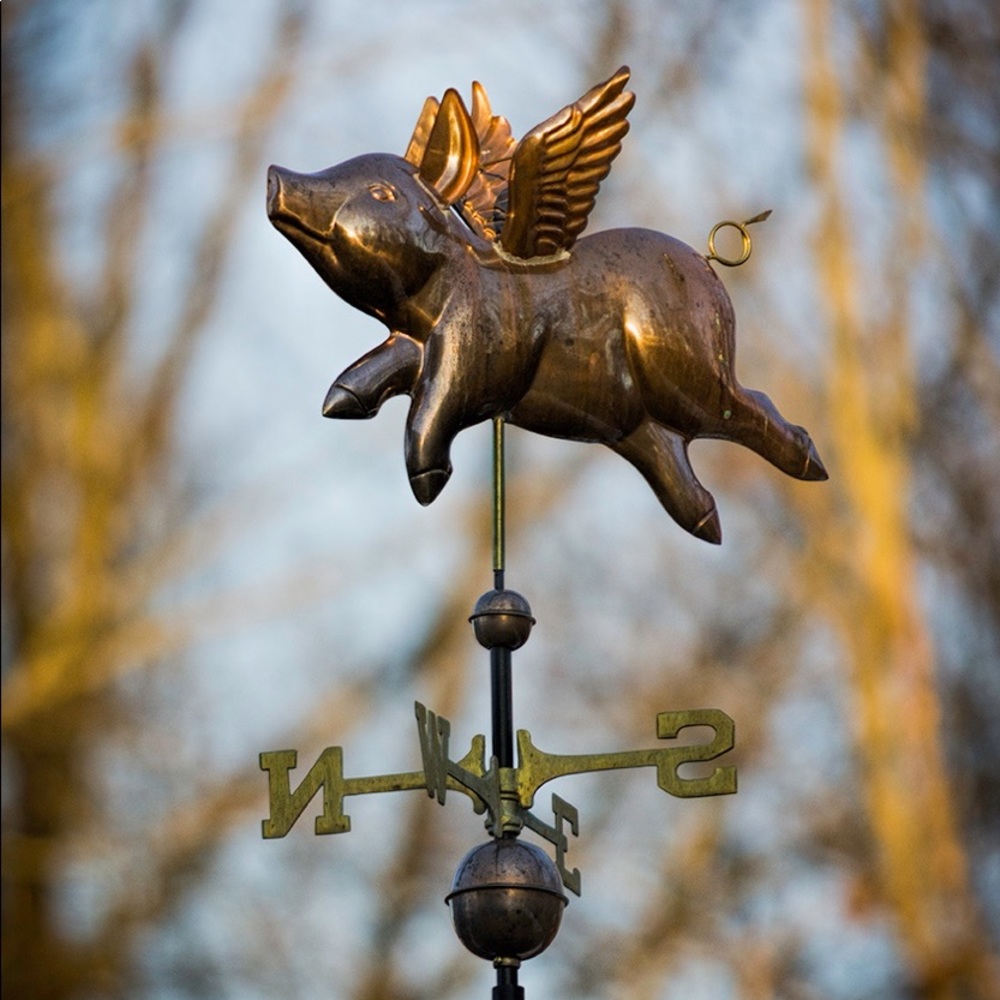 Meet your Posher, Alise